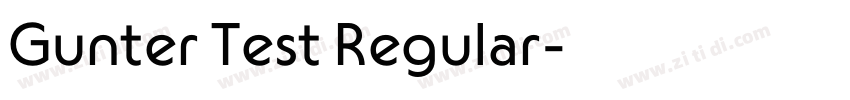 Gunter Test Regular字体转换